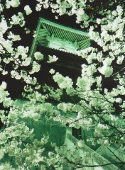 高燈籠ライトアップ